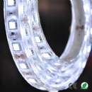 SMD5050 white led strip